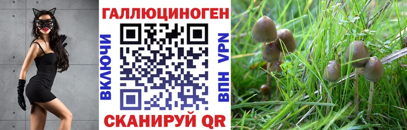 Псилоцибиновые грибы мицелий  Купить закладки  Чаплыгин 